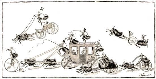 The Go-As-You-Please Race — fleas riding bicycles and pulling carriages, 1886